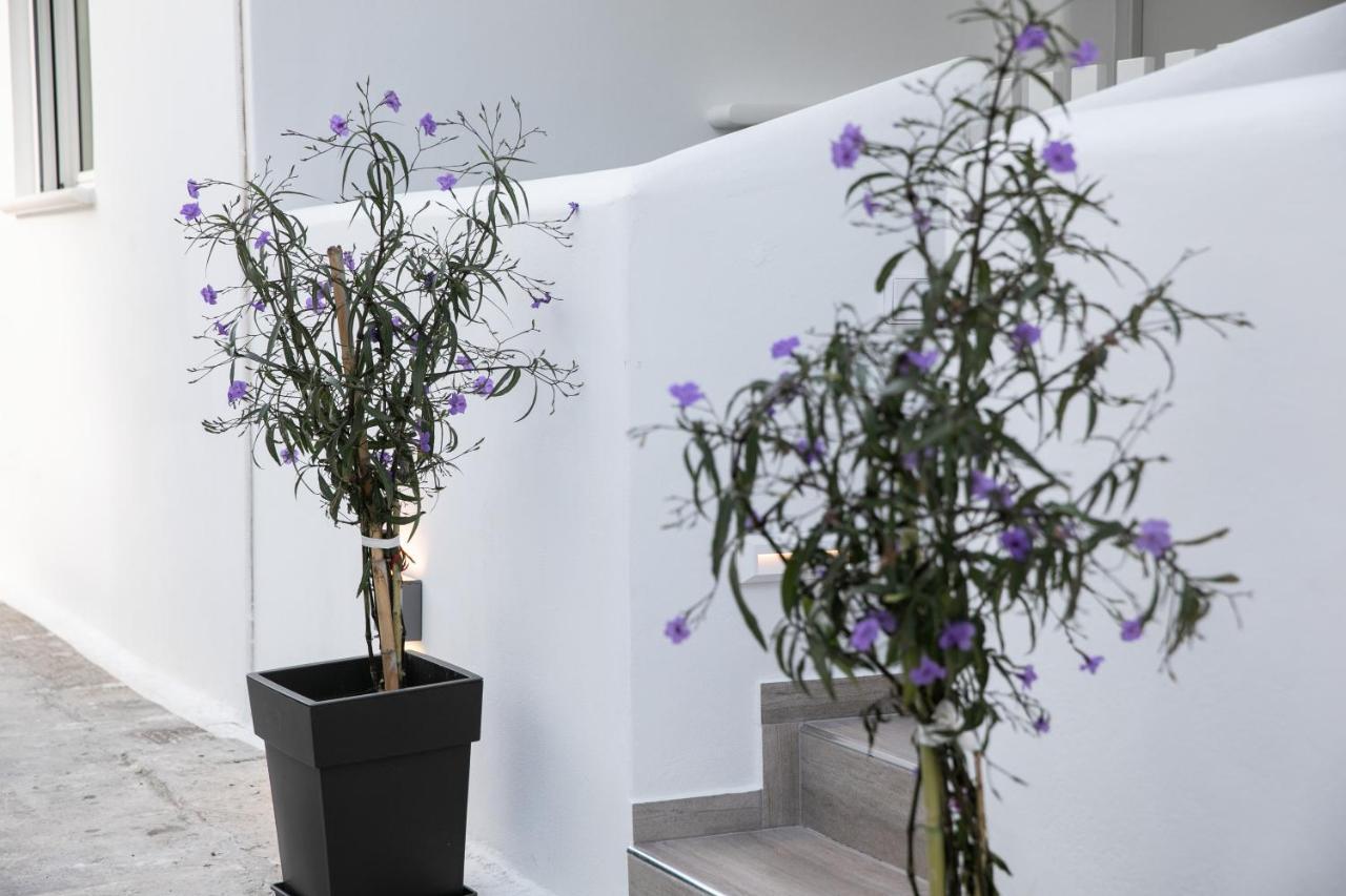 Naxos City Anemela Studio Basic מראה חיצוני תמונה